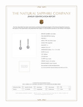 0.37 Ct.Tw. Blue Sapphire and Natural Diamond Accent Stones Earrings, 18K White Gold Scan Report