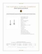 0.37 Ct.Tw.Total Carat Weight Blue Sapphire and Natural Diamond Accent Stones Earrings, 18K White Gold Scan Report