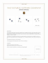 0.13 Ct.Tw. Blue Sapphire and Natural Diamond Studs Earrings, 18K White Gold Appraisal