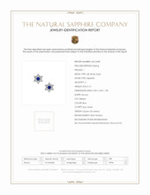 0.13 Ct.Tw. Blue Sapphire and Natural Diamond Studs Earrings, 18K White Gold Scan Report