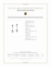 0.36 Ct.Tw.Total Carat Weight Natural Diamond Bezel Earrings, 18K White Gold Scan Report