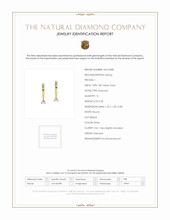 0.20 Ct.Tw. Natural Diamond Accent Stones Earrings, 18K Yellow Gold Scan Report