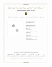 0.20 Ct.Tw.Total Carat Weight Natural Diamond Studs Earrings, 18K White Gold Scan Report