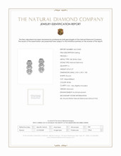 0.27 Ct.Tw. Natural Diamond Pave Earrings, 18K White Gold Scan Report