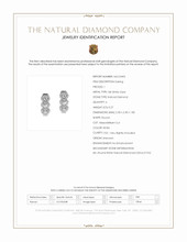 0.27 Ct.Tw.Total Carat Weight Natural Diamond Pave Earrings, 18K White Gold Scan Report
