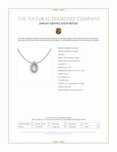 0.85 Ct. Natural Diamond Pave Pendant, 18K White Gold Scan Report