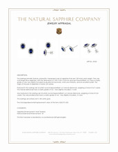 2.00 Ct.Tw.Total Carat Weight Blue Sapphire and Natural Diamond Halo Earrings, 18K White Gold Appraisal