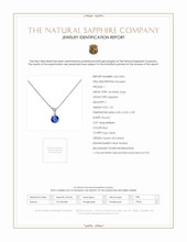 1.25 Ct. Blue Sapphire and Natural Diamond Accent Stones Pendant, 14K White Gold Scan Report