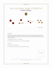 0.65 Ct.Tw. Ruby Studs Earrings, 14K Yellow Gold Appraisal