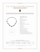 38.78 Ct. Blue Sapphire and Natural Diamond Halo Necklace, 18K White Gold Scan Report