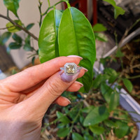 1.56 Ct. Yellow Sapphire and Natural Diamond Pave Ring, Platinum 950 Life Style