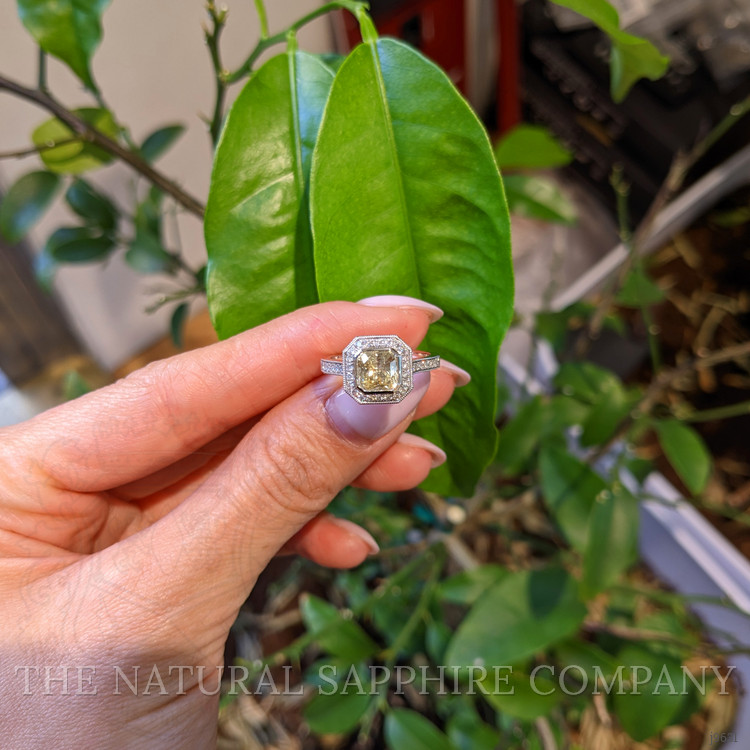 1.56 Ct. Yellow Sapphire and Natural Diamond Pave Ring, Platinum 950