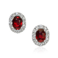 6.46 Ct.Tw. Ruby Natural Diamond Pave Earrings, 18K White Gold Video