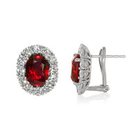 6.46 Ct.Tw. Ruby Natural Diamond Pave Earrings, 18K White Gold Image