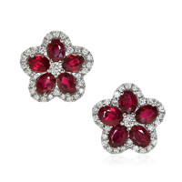 2.02 Ct.Tw. Ruby Natural Diamond Pave Earrings, 18K White Gold Video