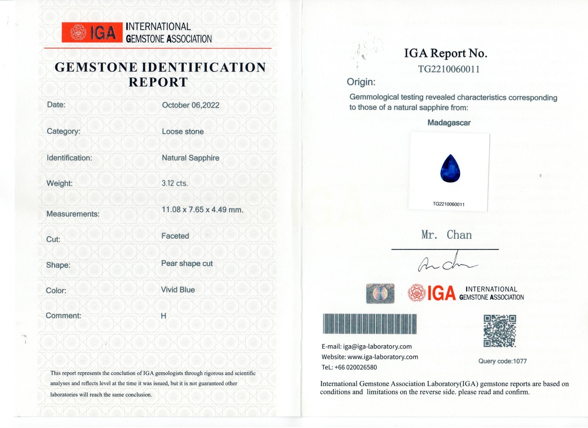 3.12 Ct. Blue Sapphire and Natural Diamond Pave Pendant, 18K White Gold