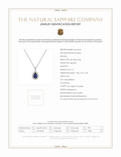 3.12 Ct. Blue Sapphire and Natural Diamond Pave Pendant, 18K White Gold Scan Report