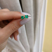 Platinum 950 Earrings Setting Image
