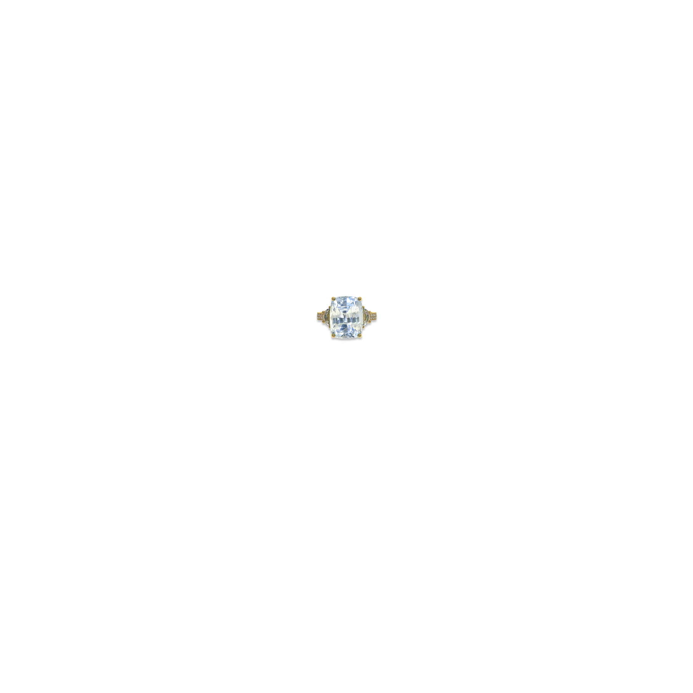 Jewelry image on model