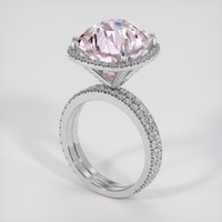 18.64 Ct. Gemstone Ring, Platinum 950 2