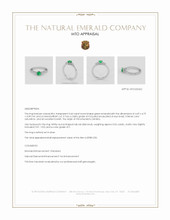 Jewelry Appraisal
