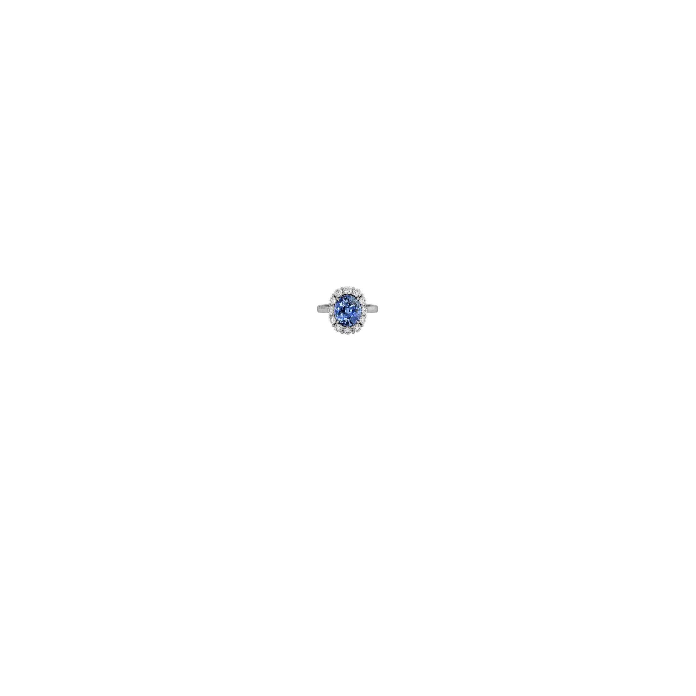 Jewelry image on model