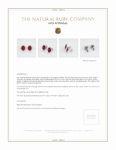 Ruby Earrings 4.15 Ct.Tw.Total Carat Weight Platinum 950 Appraisal