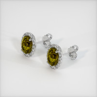 <span>3.10</span>&nbsp;<span class="tooltip-light">Ct.Tw.<span class="tooltiptext">Total Carat Weight</span></span> Gemstone Earrings, Platinum 950 2