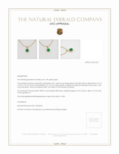 Emerald Pendant 3.81 Ct., 18K Yellow Gold Appraisal