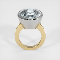 18.94 Ct. Gemstone Ring, 14K White & Yellow 3