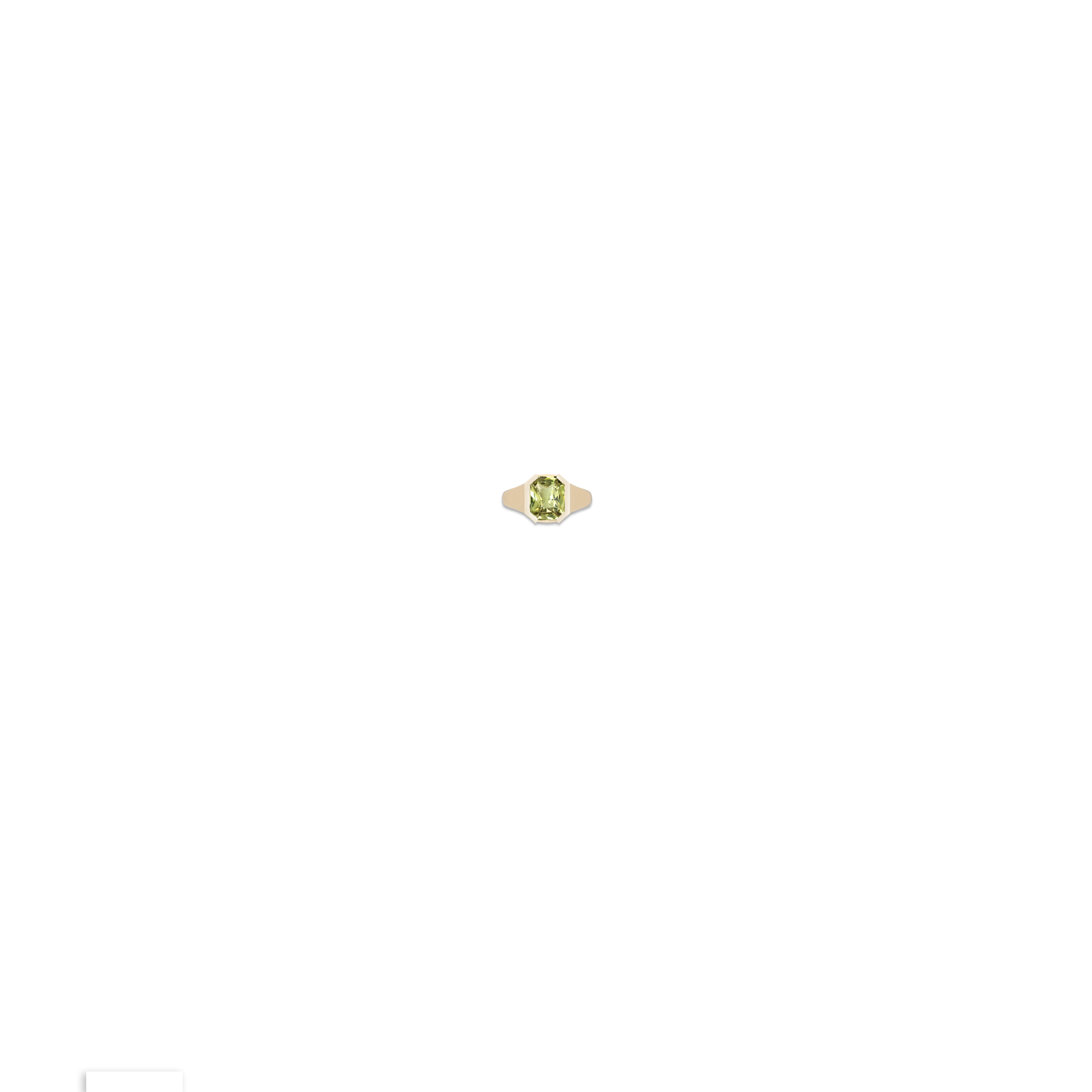 Jewelry image on model