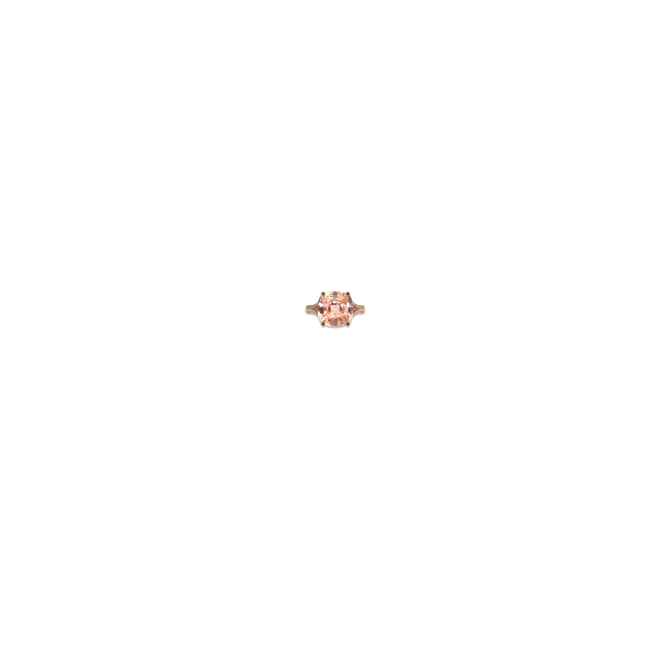 Jewelry image on model