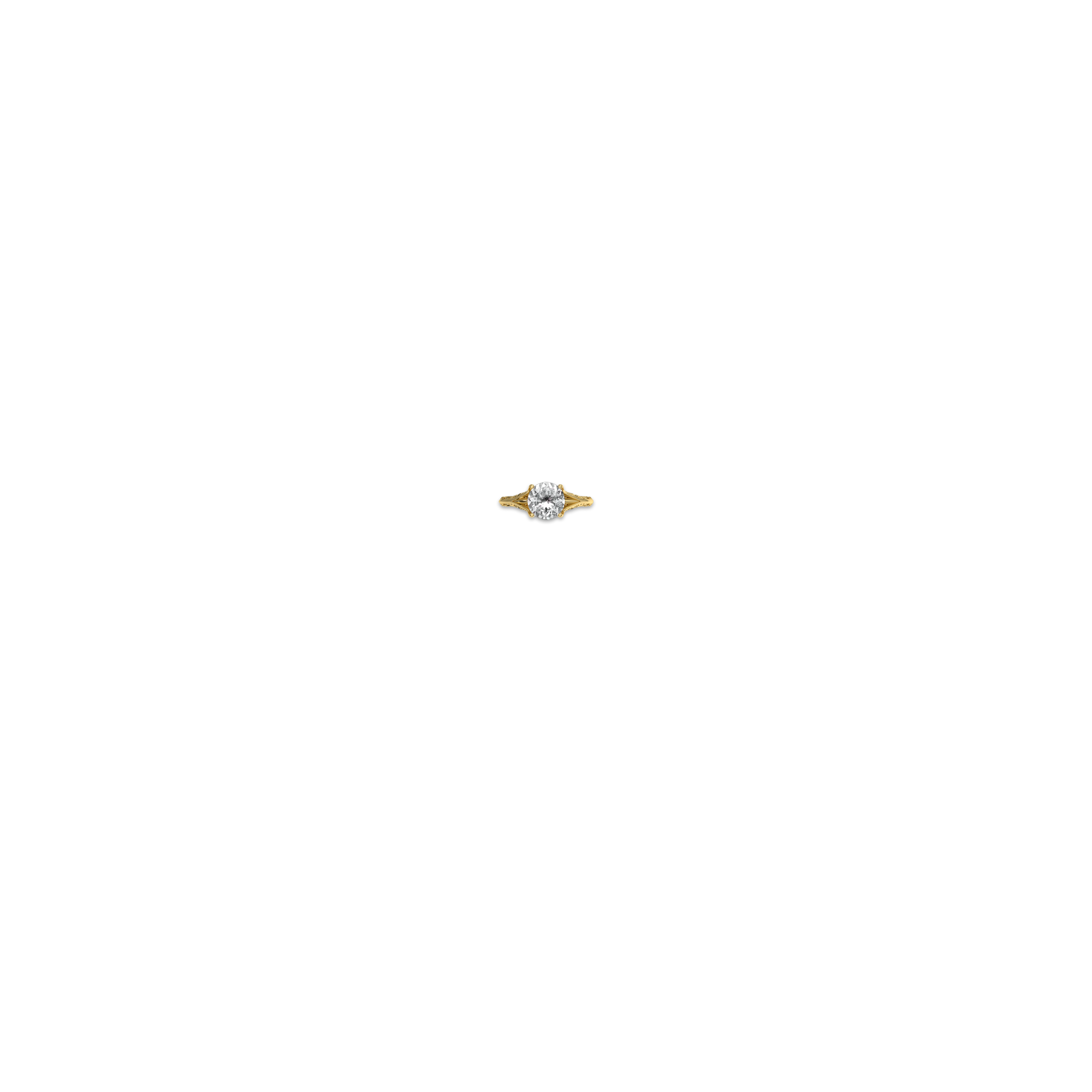 Jewelry image on model