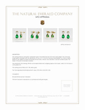 Emerald Earrings 3.02 Ct.Tw.Total Carat Weight 18K Yellow Gold Appraisal