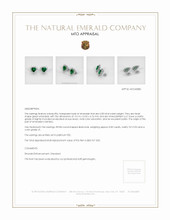 Halo Emerald Earrings 6.58 Ct.Tw.Total Carat Weight, Platinum 950 Appraisal