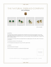 Emerald Earrings 6.58 Ct.Tw.Total Carat Weight, 18K Yellow Gold Appraisal