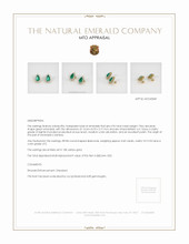Emerald Earrings 6.96 Ct.Tw.Total Carat Weight 18K Yellow Gold Appraisal
