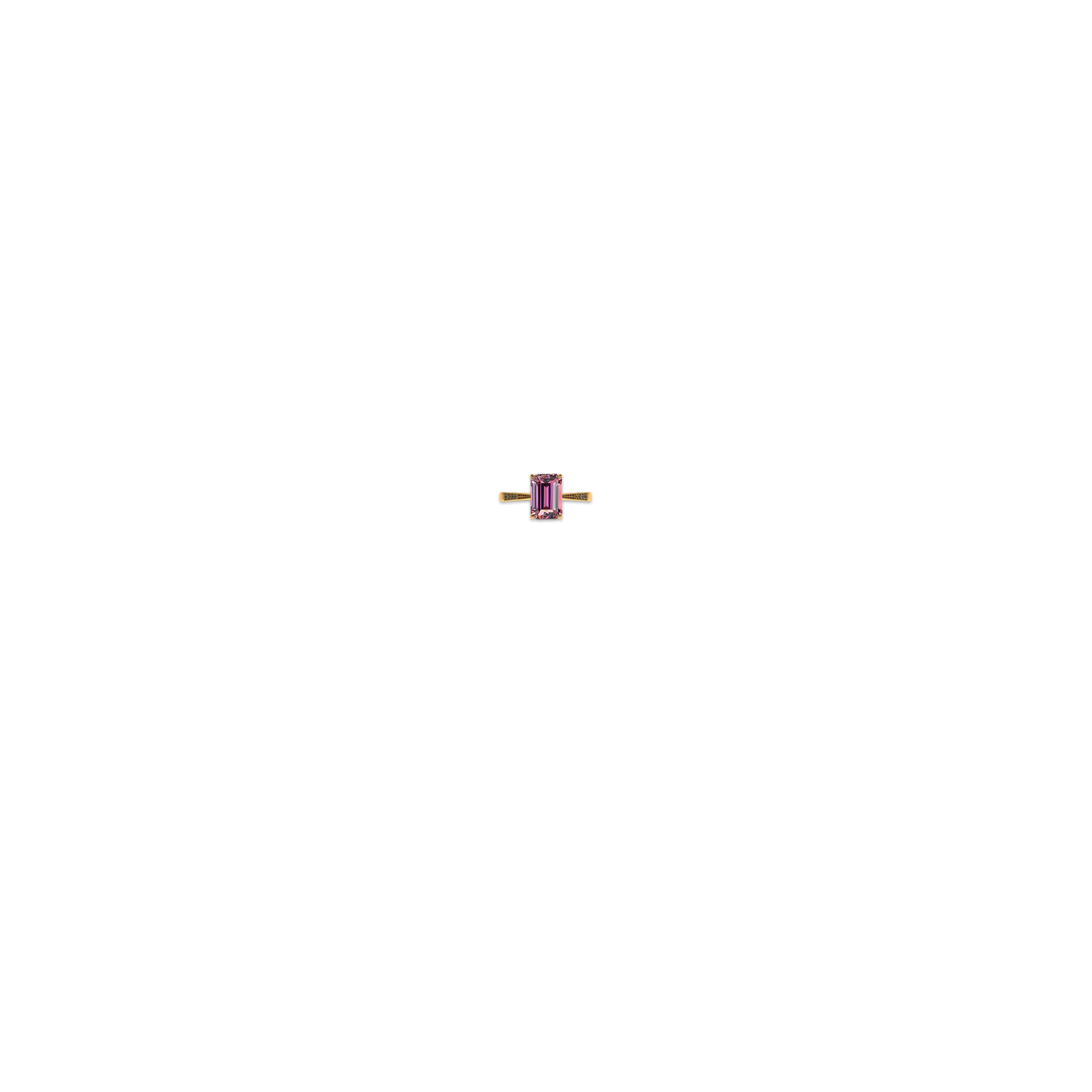 Jewelry image on model