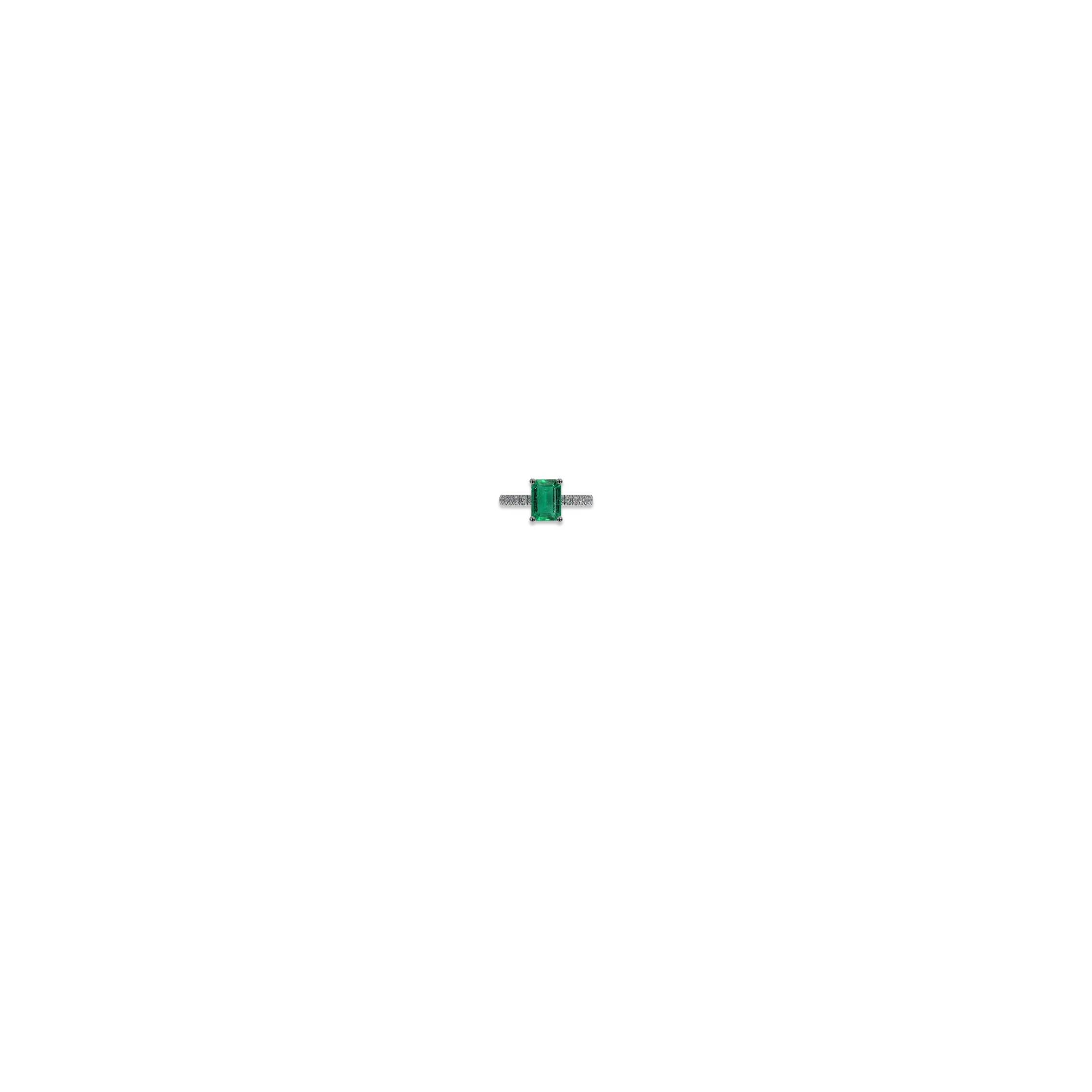 Jewelry image on model