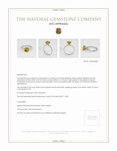 Jewelry Appraisal