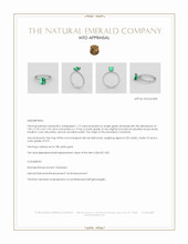 Jewelry Appraisal