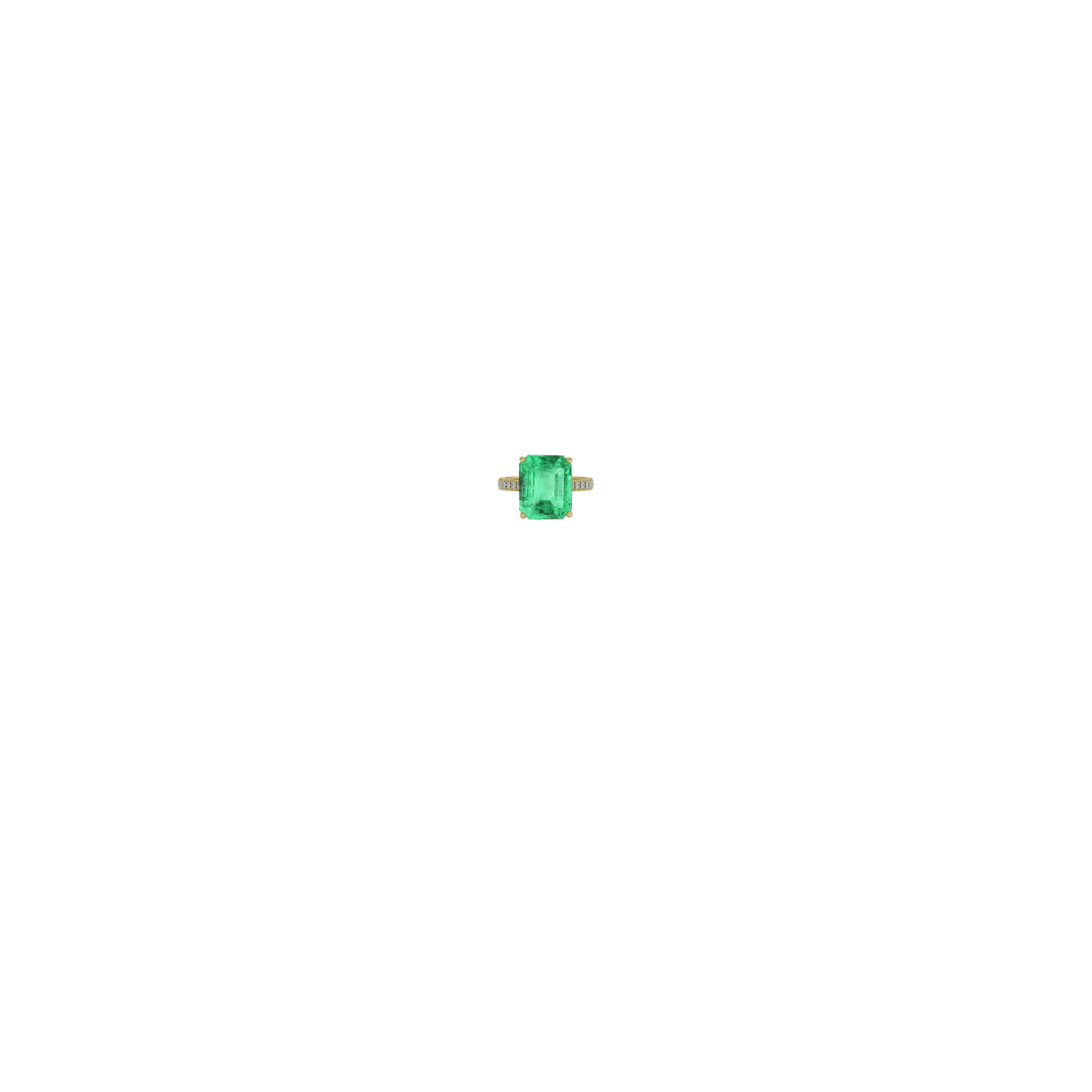 Jewelry image on model