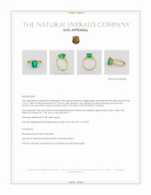 Jewelry Appraisal