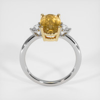 3.64 Ct. Gemstone Ring, 14K Yellow & White 3