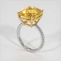 8.80 Ct. Gemstone Ring, 14K Yellow & White 2