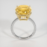 8.80 Ct. Gemstone Ring, 14K Yellow & White 3