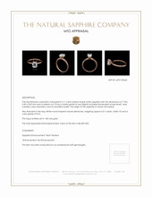 Jewelry Appraisal