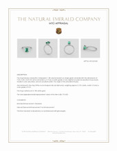 Jewelry Appraisal
