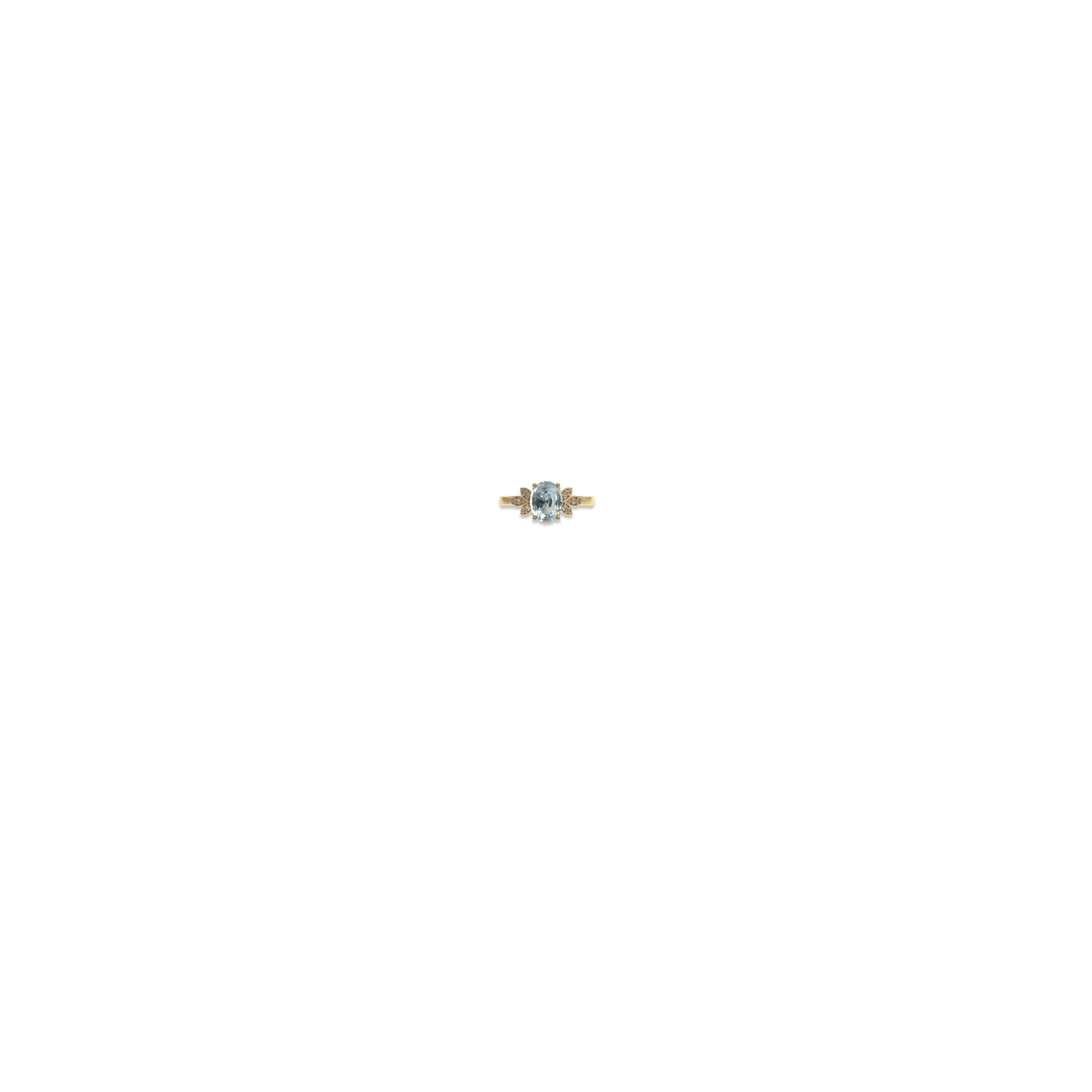 Jewelry image on model