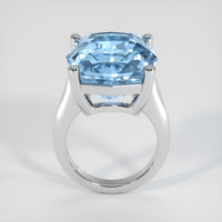 16.87 Ct. Gemstone Ring, Platinum 950 3